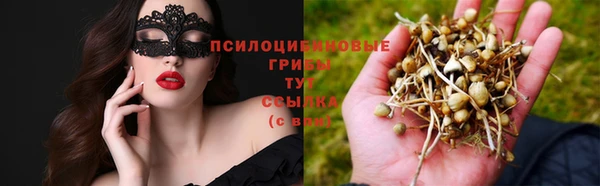 меф Алексин