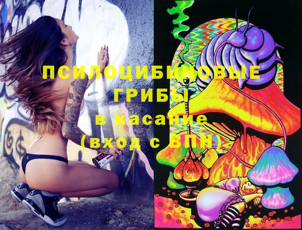 меф Алексин