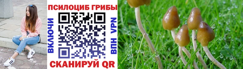 Псилоцибиновые грибы Magic Shrooms  Оленегорск 